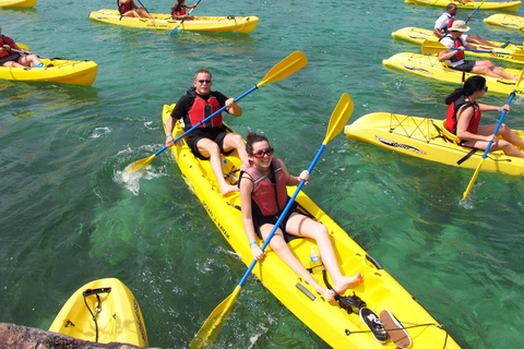 圣托马斯红树林皮划艇、徒步和浮潜 3 小时之旅圣托马斯红树林皮划艇、远足和浮潜 3 小时旅游