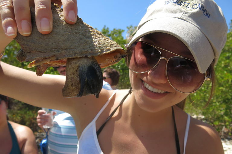 圣托马斯红树林皮划艇、徒步和浮潜 3 小时之旅圣托马斯红树林皮划艇、远足和浮潜 3 小时旅游