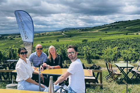 Wenen: Vienna Woods Wine Tour van een hele dagPrivé zomertour