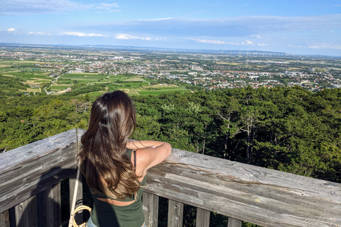 Viena: tour de vino de día completo por el bosque de VienaTour privado de verano