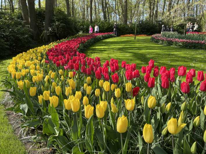 From Amsterdam: Keukenhof Tulips and Windmills Guided Tour | GetYourGuide