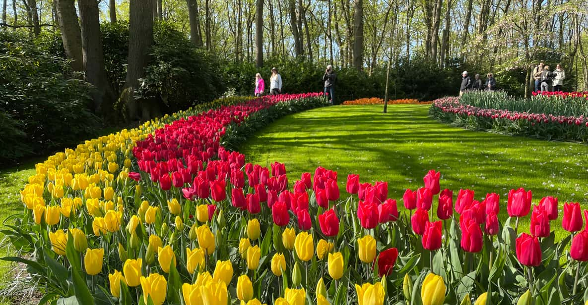 Desde Ámsterdam: Visita guiada a los Tulipanes y Molinos de Viento de  Keukenhof | GetYourGuide