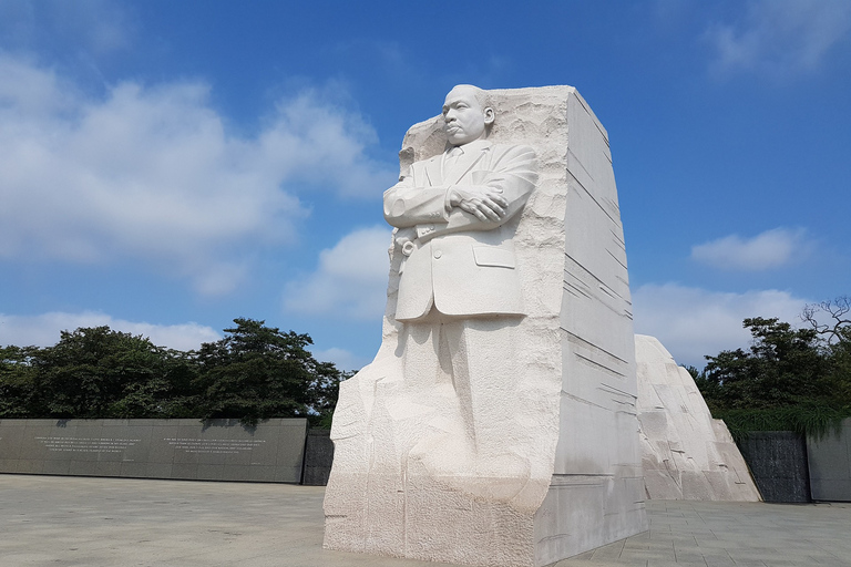 Washington DC: tour a piedi dei fiori di ciliegioWashginton DC Tour a piedi dei fiori di ciliegio