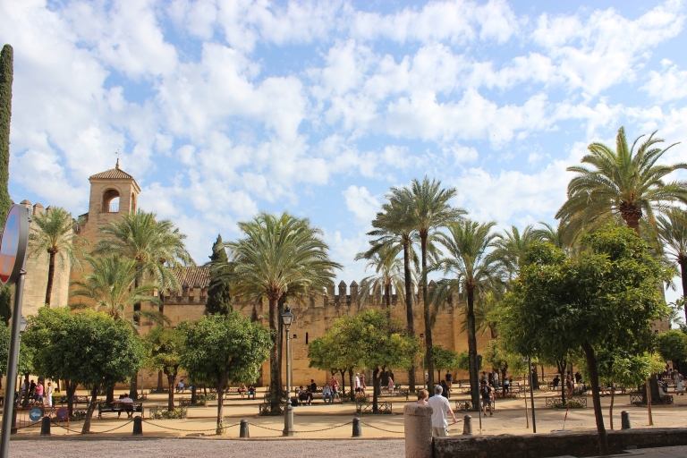 Córdoba: Mosque-Cathedral and Alcazar Tour Group Tour in Spanish