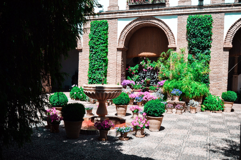 Cordoba: tour dei patii e del palazzo di Viana