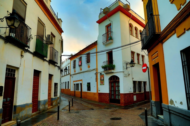 Córdoba: Private Walking Tour 4-Hour Tour