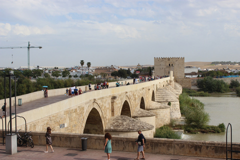 Córdoba: Private Walking Tour 2-Hour Tour