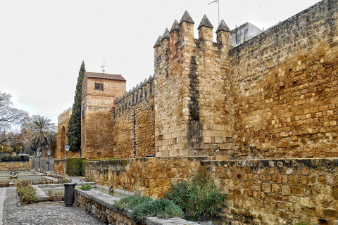 Córdoba: Private Walking Tour 2-Hour Tour