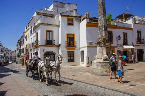 Córdoba: Privater Spaziergang3-stündige Tour