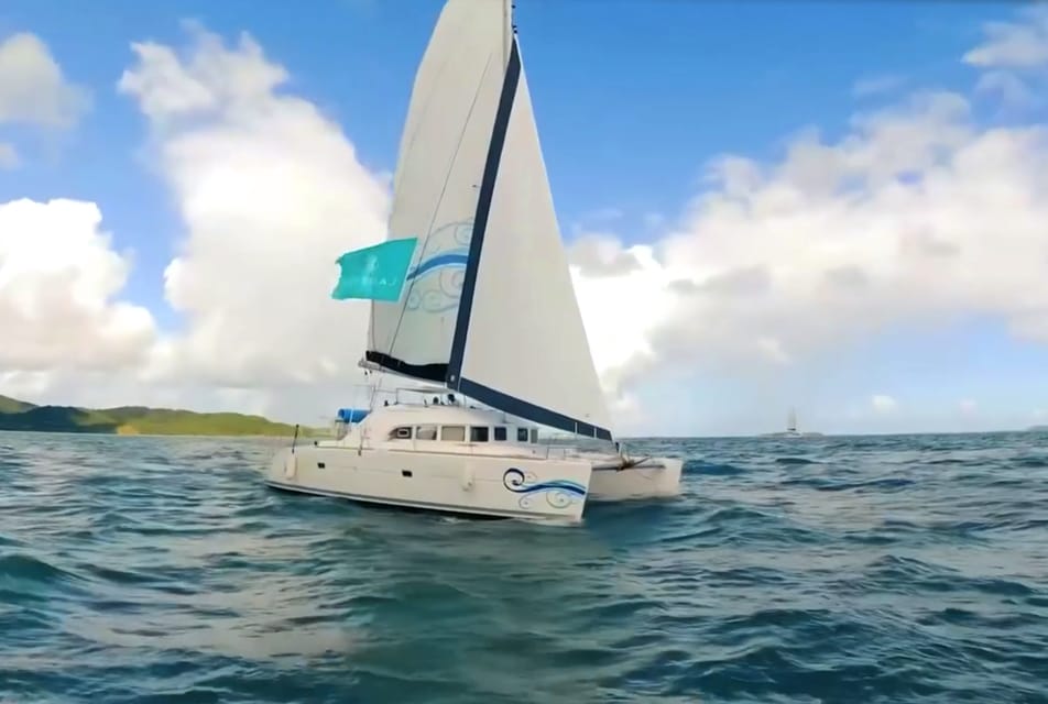 catamaran para palomino