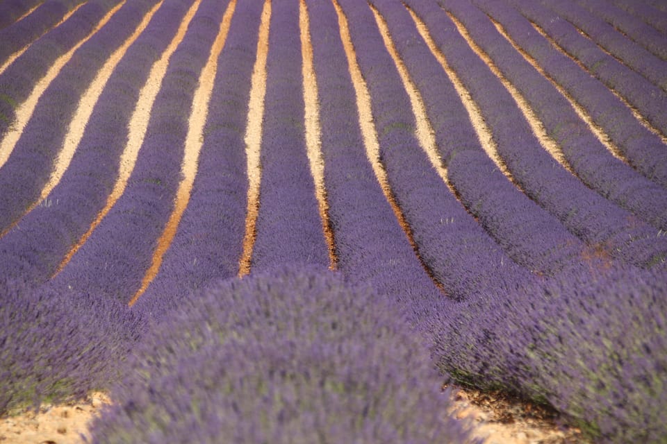 Desde Aix En Provence Experiencia De La Lavanda Y Gargantas Del Verdon