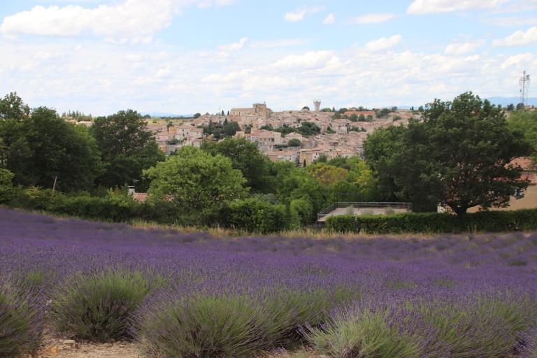 Desde Aix-en-Provence: Experiencia de la Lavanda y Gargantas del VerdonExperiencia Lavanda, Gargantas del Verdon
