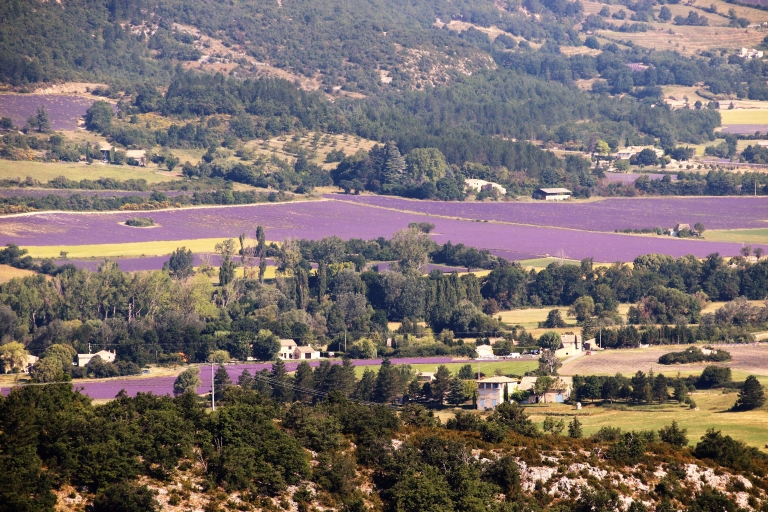 From Aix en Provence: Private Tour of Sault in Van Lavender in Sault