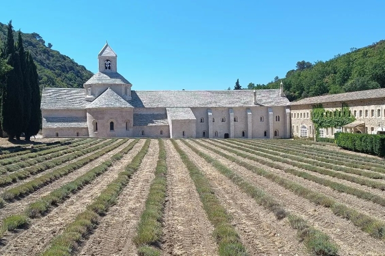 From Aix-en-Provence: Luberon Park Lavender Season Tour