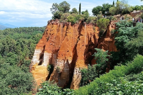 Desde Aix-en-Provence: Excursión a la Temporada de Lavanda del Parque del Luberon