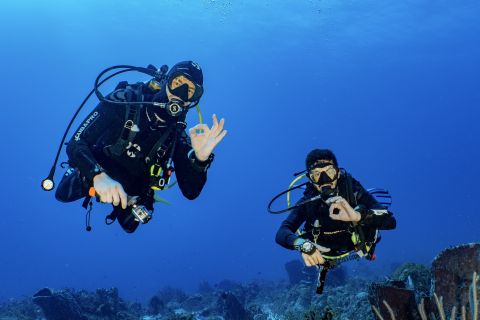 Cozumel: North Cozumel Reef Tour for Experienced Divers
