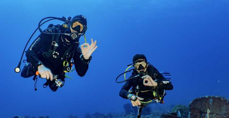 Cozumel North Reef Tour for Experienced Divers GetYourGuide