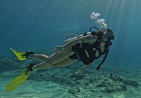 Isla de San Andrés, Curso Personalizado de Mini Buceo - Hizvo