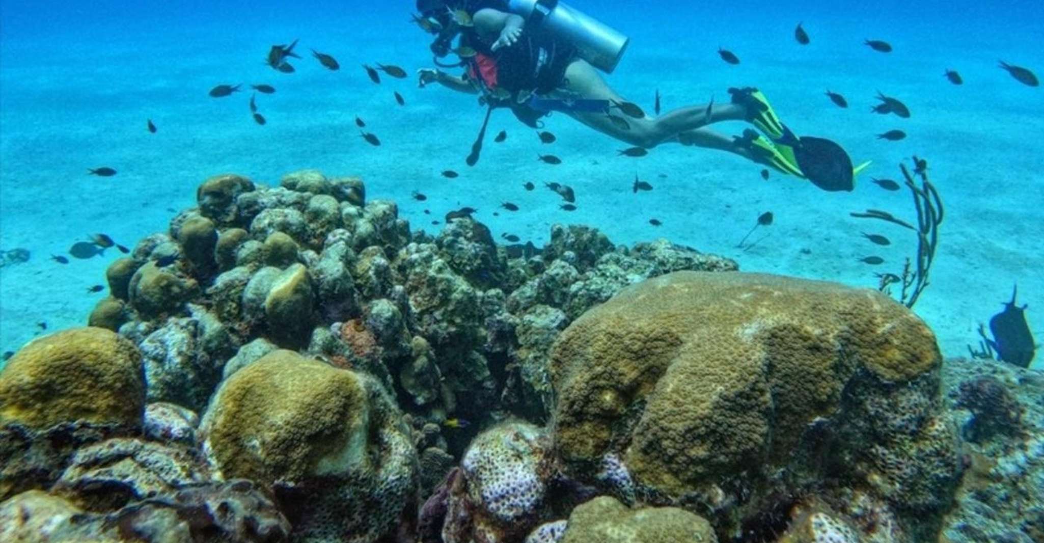 Ilha de San Andrés, Curso de Mergulho Mini Scuba Personalizado - Hizvo