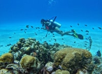 Isla de San Andrés, Curso Personalizado de Mini Buceo - Hizvo