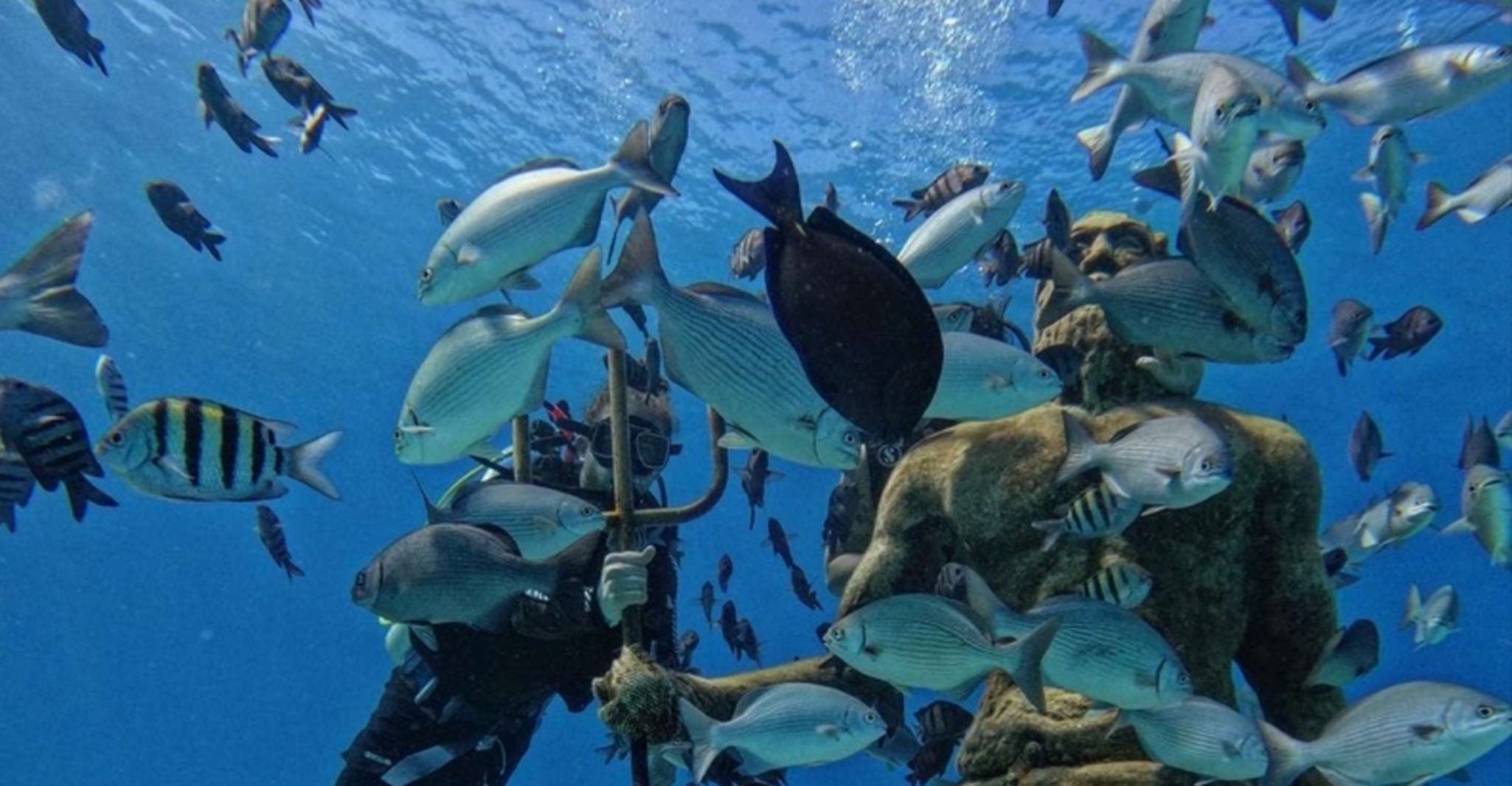 Ilha de San Andrés, Curso de Mergulho Mini Scuba Personalizado - Hizvo