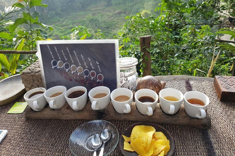 Ubud: Monkey Forest, Rice Terrace, Waterfall Private Tour Private Tour Without Entry Tickets