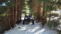 From Smolyan, Private Buggy Ride in Pamporovo Ski Resort - Housity