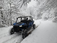 From Smolyan, Private Buggy Ride in Pamporovo Ski Resort - Housity