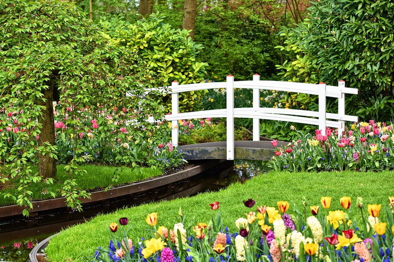 Z Amsterdamu: Ogrody Keukenhof, wycieczka do Hagi i Delft