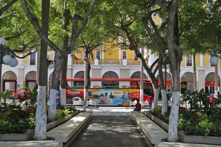 Veracruz: Visita turística a la ciudad y Museos de Cera y Ripley's