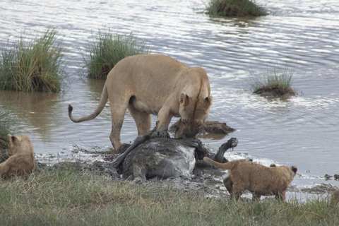 Tanzania: Private Group Serengeti Safari5 Days Tanzania Private Group Safari