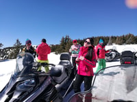 Pamporovo Perelik, Snowmobile Safari - Housity