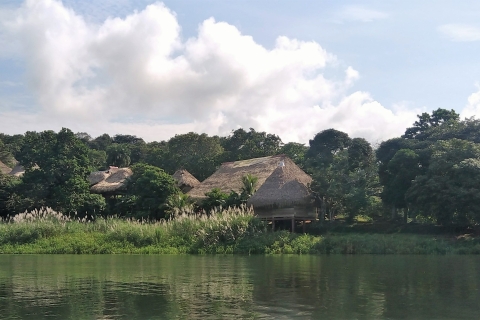 Panama-Stadt: Affeninsel-Tour & indigenes DorfTour auf Englisch