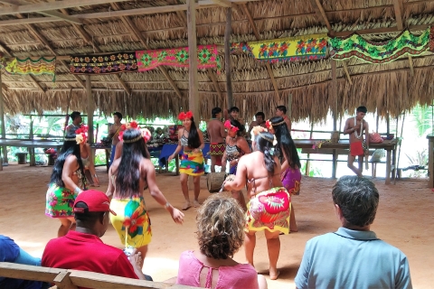 Panama City: Monkey Island and Indigenous Village Tour Tour in Spanish or Portuguese