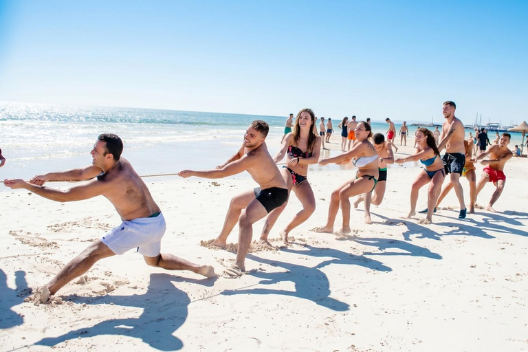 From Sharm: Ras Mohamed, White Island Snorkel & Dive & Lunch 1 Intro Dive Option Beginners & Professional