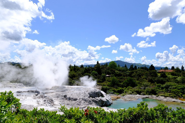 Rotorua: Te Puia Maori Village and Rejuvenation Tour Rotorua: Cultural and Rejuvenation Tour