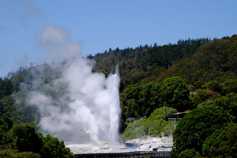 Rotorua: Te Puia Maori Village and Rejuvenation Tour Rotorua: Cultural and Rejuvenation Tour