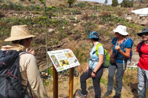 La Gomera: Geführte Blumentour mit Schmetterlingen und BienenLa Gomera: Von Blume zu Blume geführte Tour