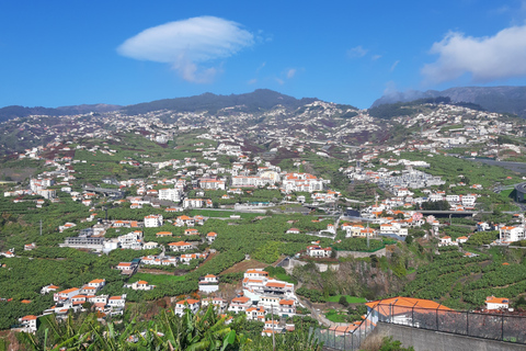 Madeira: Private Bananenfarm-Tour mit AbholungNord/Süd Ost Madeira Abholung