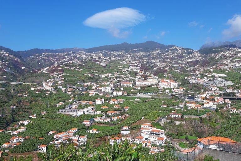 Madeira: Private Banana Farm Tour met pick-upOphalen Funchal, Caniço, Cma Lobos