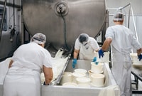 Da Bologna, Parma Cheese & Ham Factory Tours e degustazioni - Housity