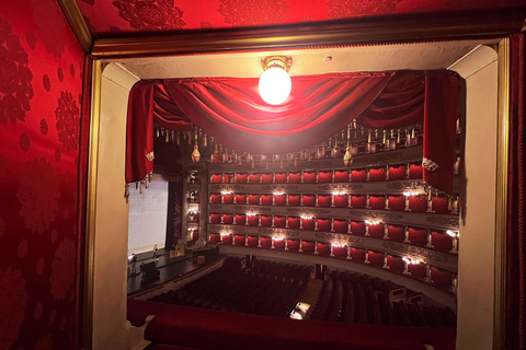 Milan : Visite guidée du théâtre de la Scala en évitant les files d'attenteOption standard