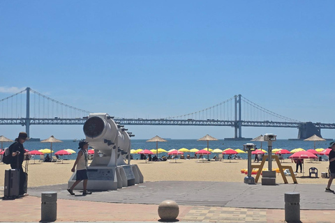 Busan: Private Shore Excursion with Licensed Local Guide