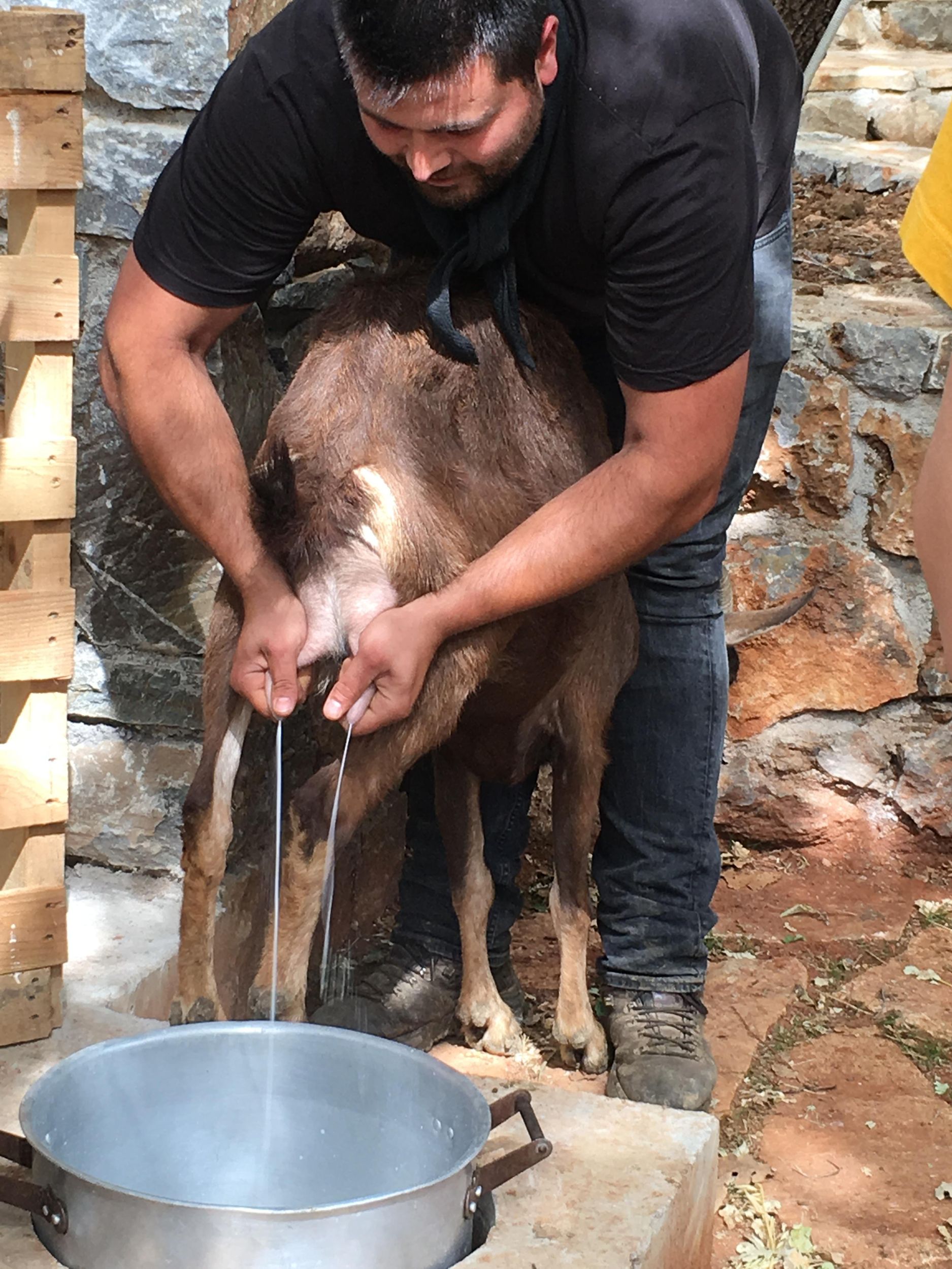 Rethymno: Safari mit dem Geländewagen, Verkostung & Bauernhof