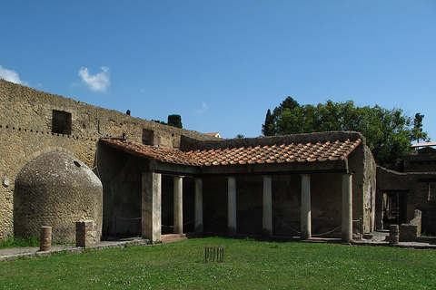 Pompéi et Herculanum avec déjeuner et dégustation de vinPompéi et Herculanum avec déjeuner et dégustation de vins