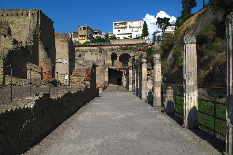 Pompéi et Herculanum avec déjeuner et dégustation de vinPompéi et Herculanum avec déjeuner et dégustation de vins