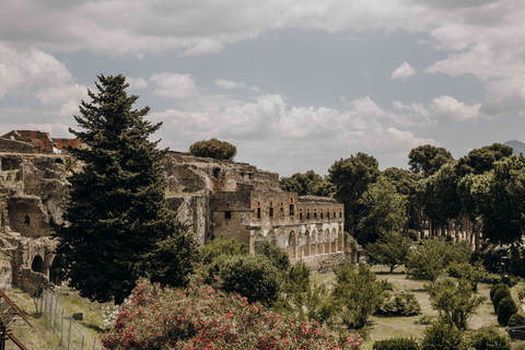 Pompeje i Herkulanum z lunchem i degustacją wina