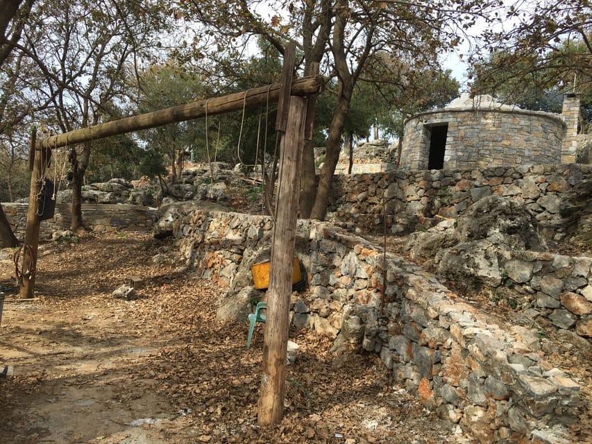 Rethymno: esplora la capanna del pastore e il processo di produzione del  formaggio