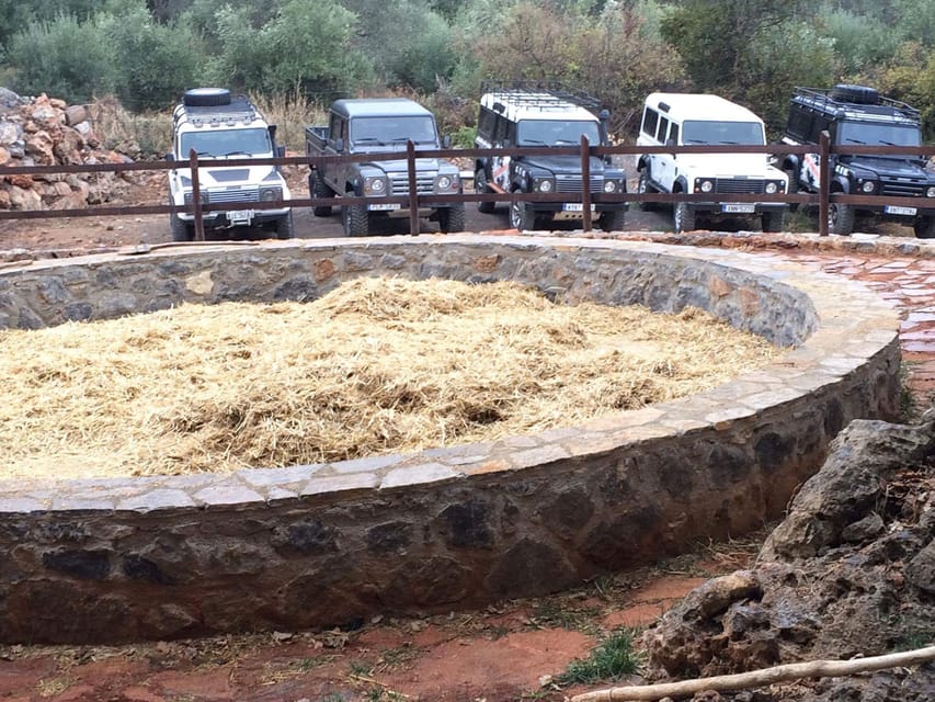 Rethymno: esplora la capanna del pastore e il processo di produzione del  formaggio