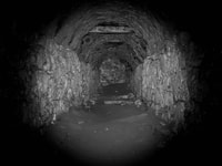 Hanover, visite à pied du crime - Housity